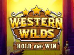 Western Wilds Hold & Win game icon